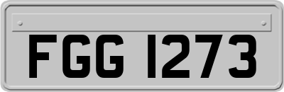 FGG1273