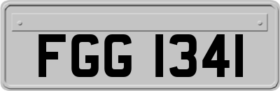 FGG1341