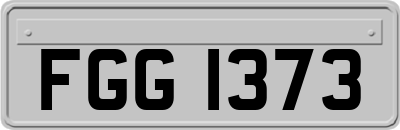FGG1373