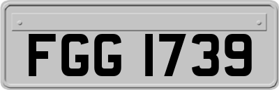 FGG1739