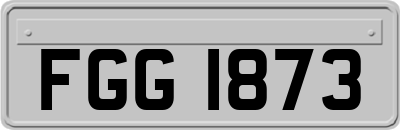 FGG1873