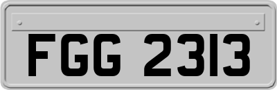 FGG2313