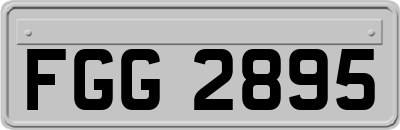 FGG2895