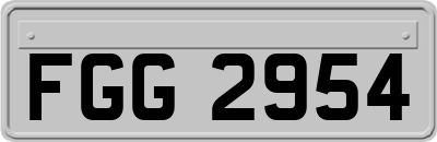 FGG2954