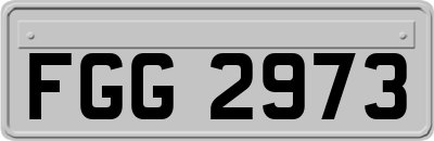 FGG2973