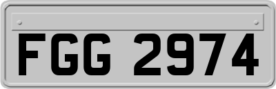 FGG2974
