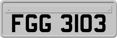 FGG3103