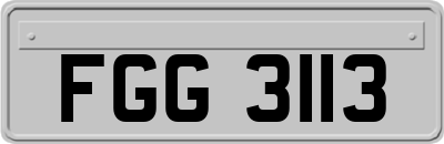 FGG3113
