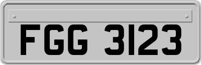 FGG3123