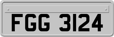 FGG3124