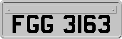 FGG3163