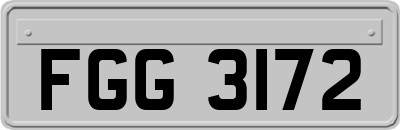 FGG3172