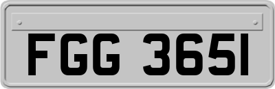 FGG3651