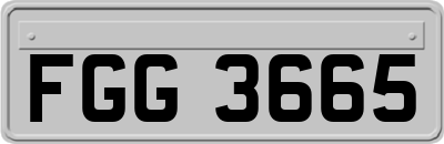 FGG3665