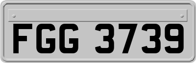 FGG3739