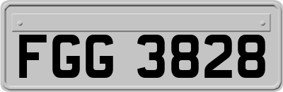 FGG3828