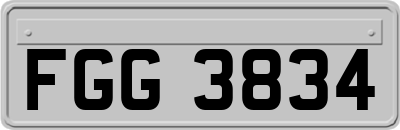 FGG3834