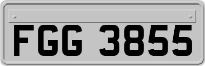 FGG3855