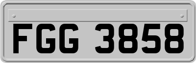 FGG3858
