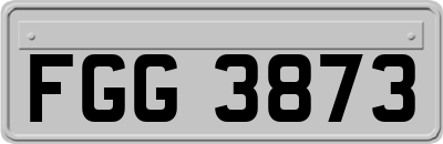 FGG3873