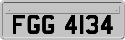 FGG4134