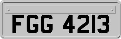 FGG4213