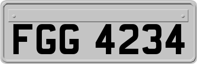 FGG4234