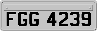 FGG4239