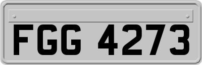 FGG4273