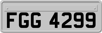 FGG4299