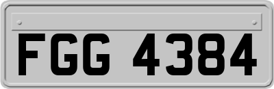 FGG4384