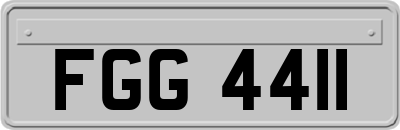 FGG4411