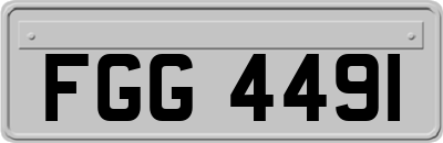 FGG4491