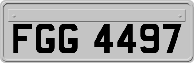 FGG4497