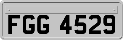 FGG4529