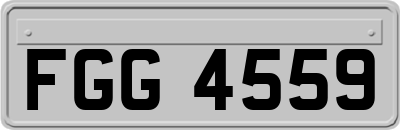 FGG4559
