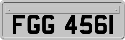 FGG4561