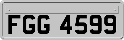FGG4599