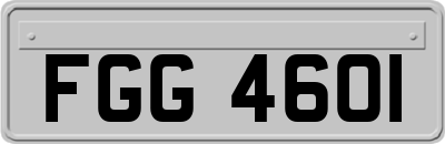 FGG4601