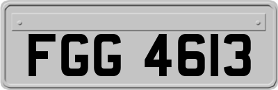 FGG4613