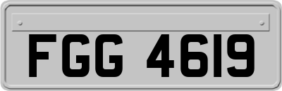 FGG4619