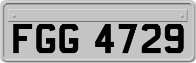 FGG4729