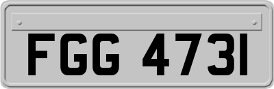 FGG4731