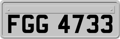 FGG4733