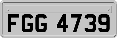 FGG4739