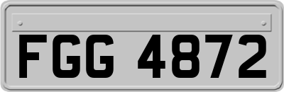 FGG4872