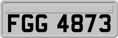 FGG4873
