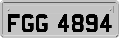 FGG4894