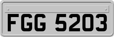 FGG5203