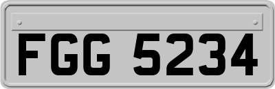 FGG5234